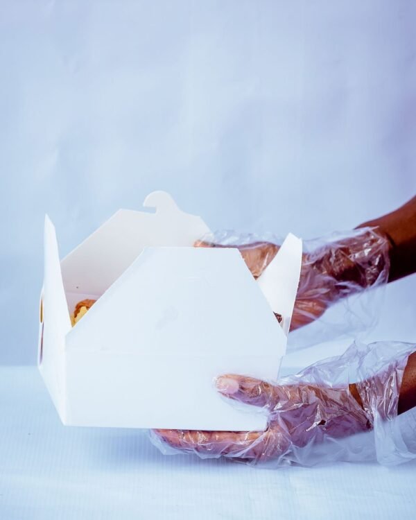 Pack Hub White Lunch Pack Filled with Food and carried by Hand in Gloves