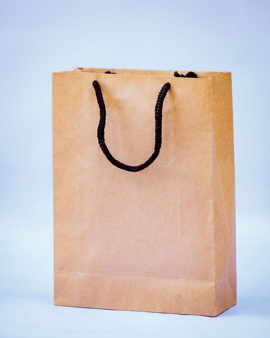BagDream 10x5x13 Brown Paper Gift Bags With Handles, 100Pcs Large Kraft Paper Bags Merchandise Retail Grocery Bags Shopping Bags