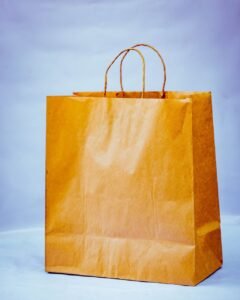 Pack Hub Gift & Boutique Bag with Twisted Handle