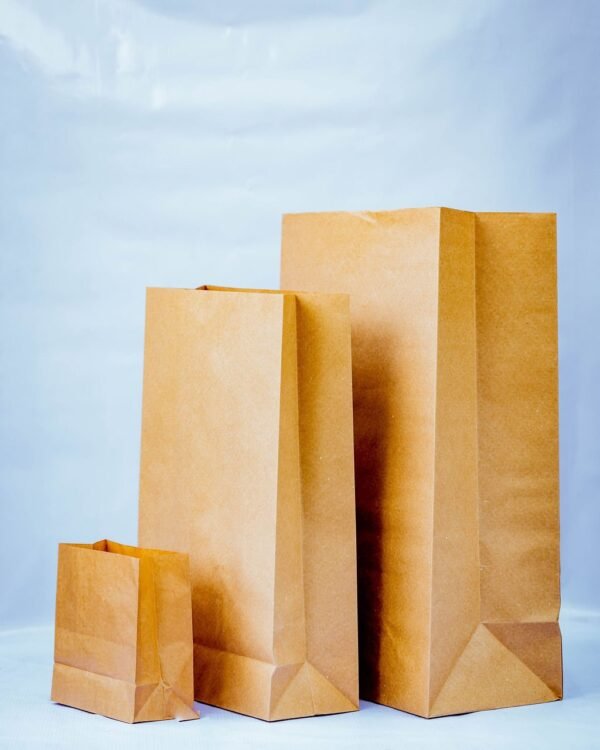 Pack Hub Takeout Bags