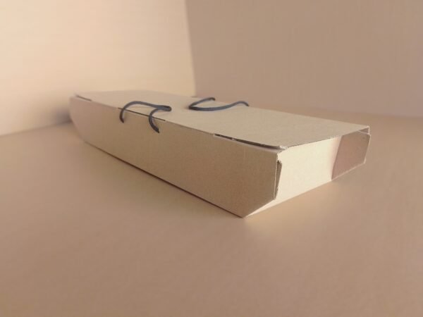 Large Kraft (Brown) Corrugated Fish Pack
