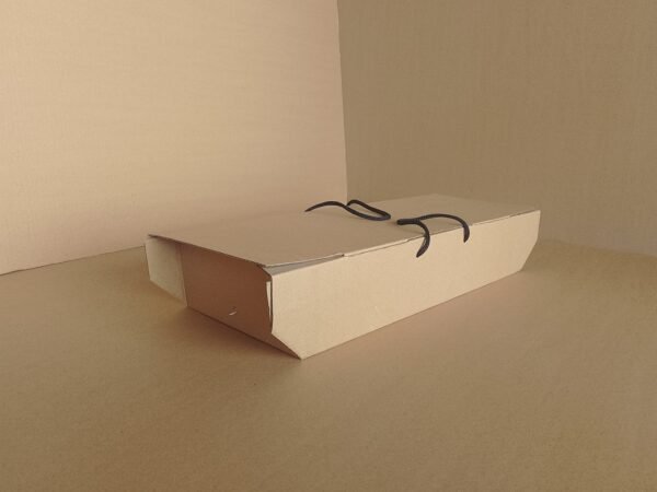 Large Kraft (Brown) Corrugated Fish Pack - Image 2