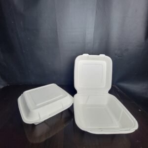Large Bagasse Salad/Snack Box