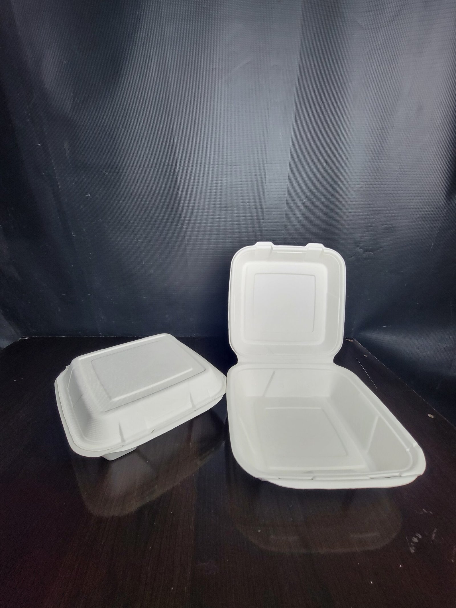 Large Bagasse Salad/Snack Box