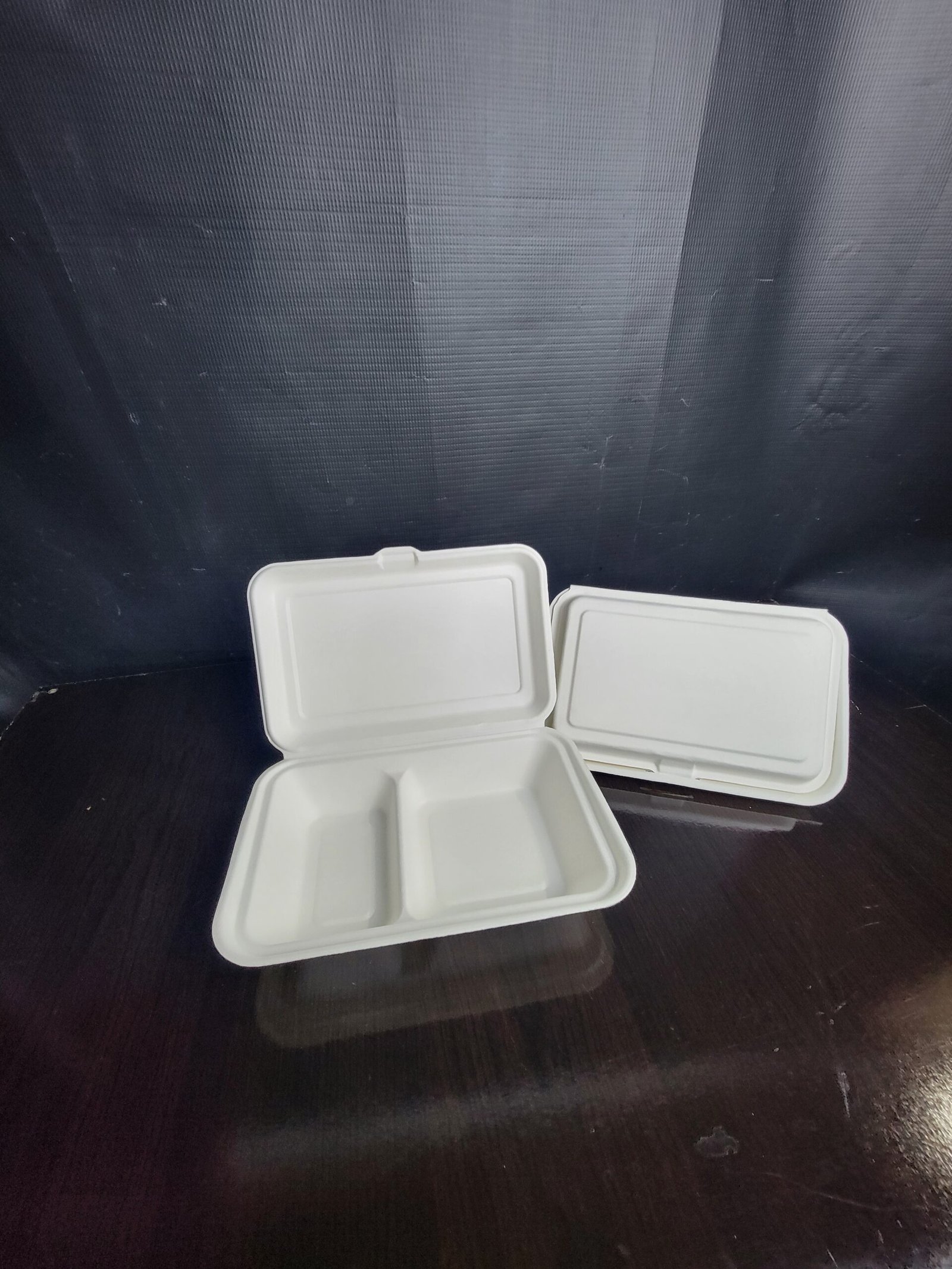 Two-Compartment Bagasse Food Plate - Image 2