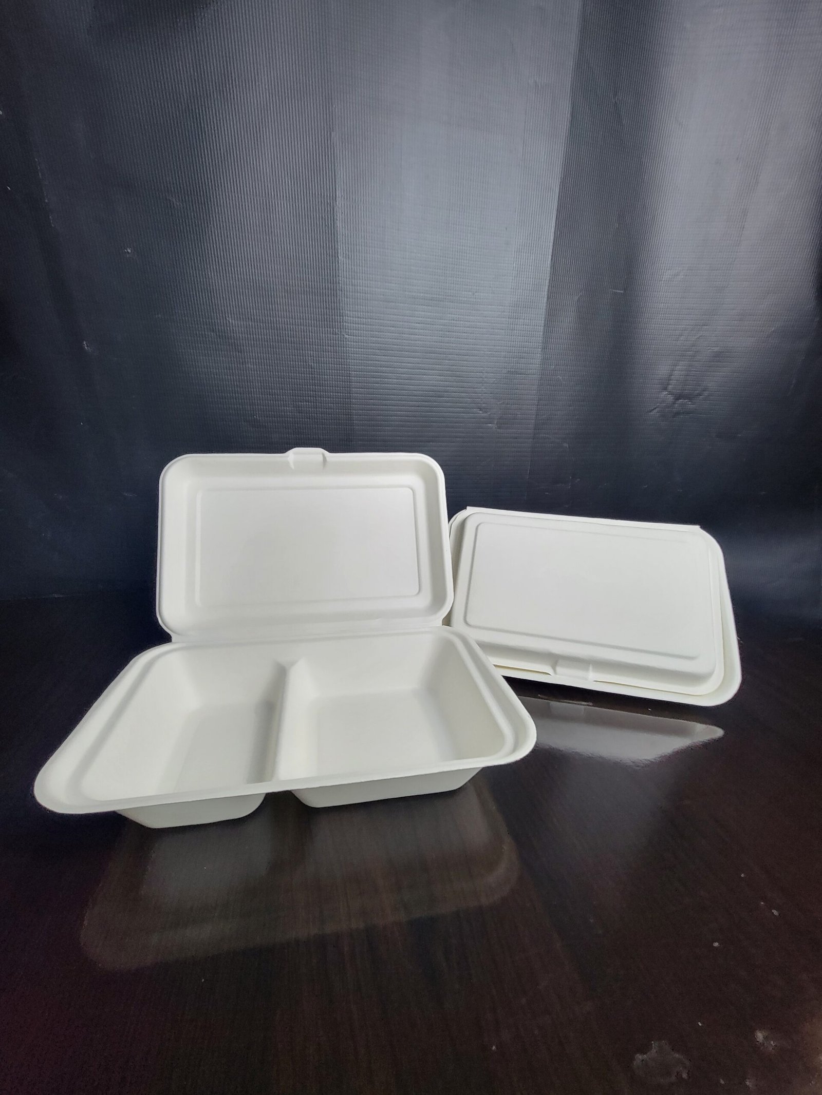 Two-Compartment Bagasse Food Plate