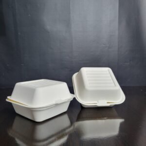 Bagasse Bento Cake Box