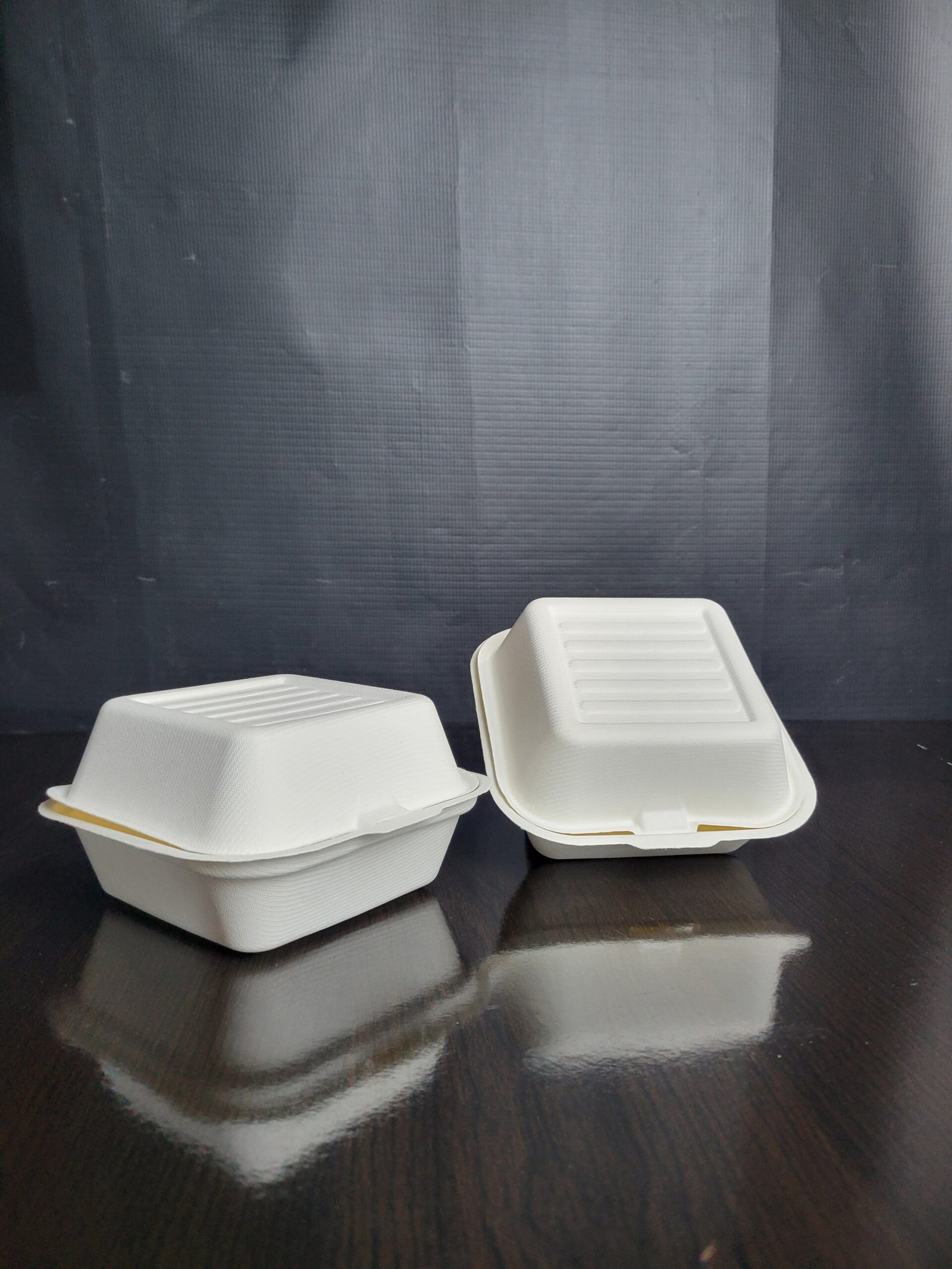 Bagasse Bento Cake Box