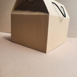 Kraft (Brown) Large Party Box