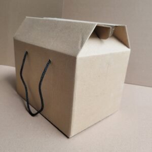 Kraft (Brown) Medium Party Box